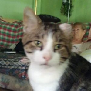 Meet your Posher, Judy